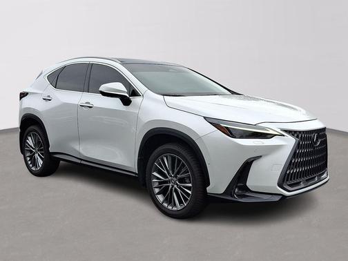 2023 Lexus NX 350h Luxury