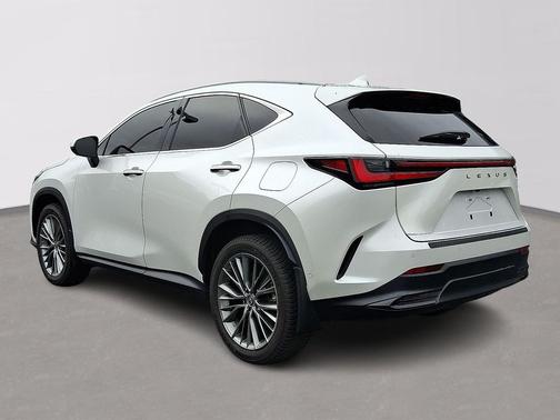 2023 Lexus NX 350h Luxury