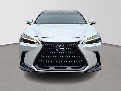 2023 Lexus NX 350h Luxury