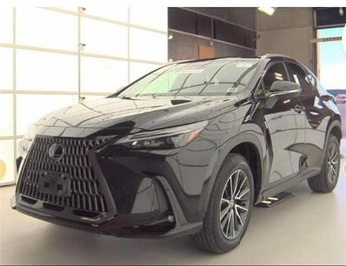 2024 Lexus NX 350 Premium