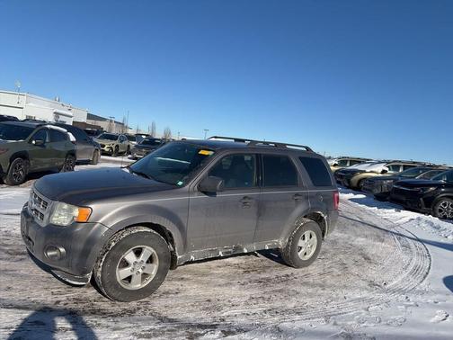 2011 Ford Escape XLT