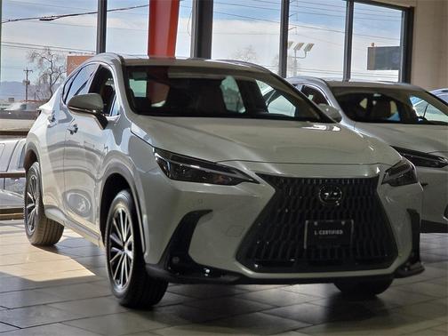 2025 Lexus NX 250 Premium