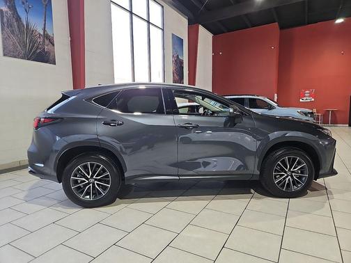 2025 Lexus NX 250 Premium