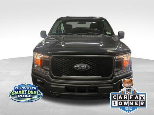 Magnetic 2018 Ford F-150 XL