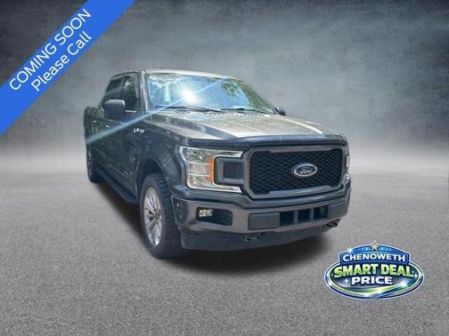 Magnetic 2018 Ford F-150 XL