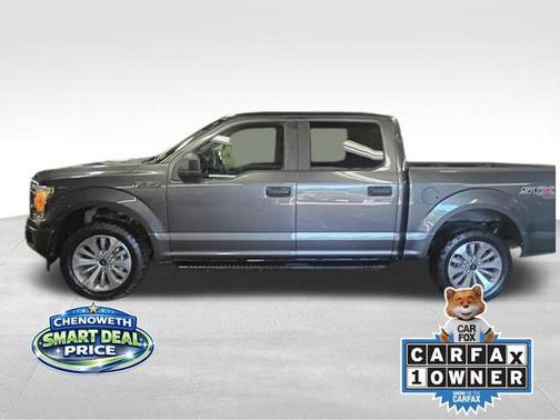 Magnetic 2018 Ford F-150 XL
