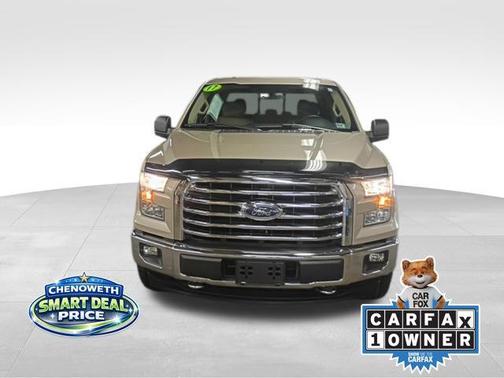 White Gold 2017 Ford F-150 XLT