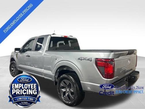 Iconic Silver Metallic 2025 Ford F-150 STX