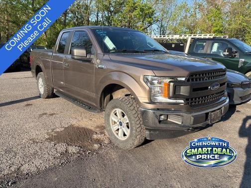 Stone Gray Metallic 2019 Ford F-150 XL