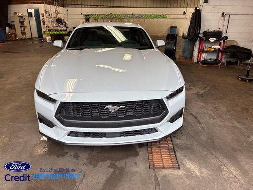 Avalanche Gray 2026 Ford Mustang EcoBoost