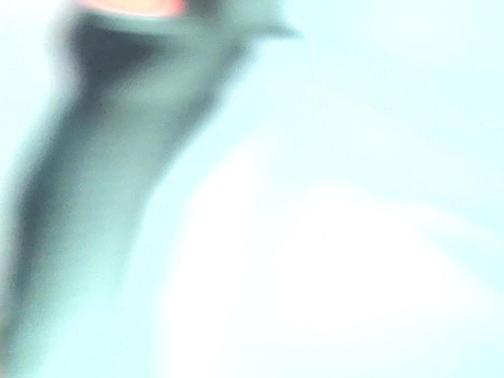 2013 RAM 2500 Laramie