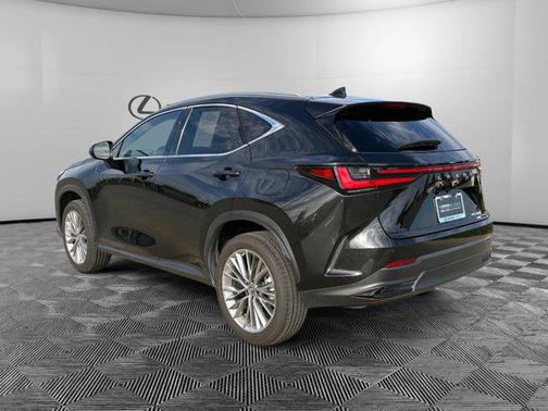 2022 Lexus NX 350 Premium