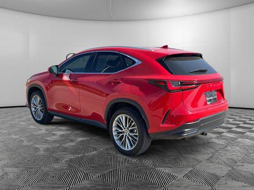 2023 Lexus NX 350 Luxury