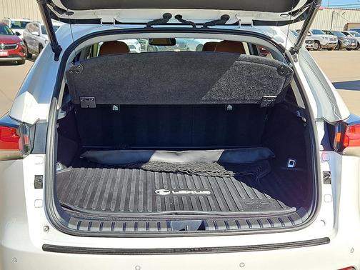 2019 Lexus NX 300 F Sport