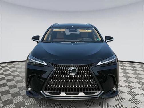 2025 Lexus NX 450h+ Luxury