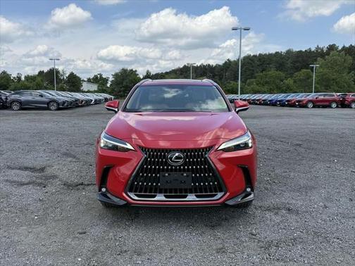 2025 Lexus NX 350 Premium