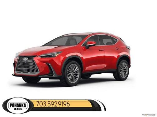 2025 Lexus NX 350 Premium