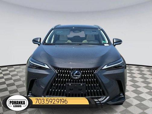 2025 Lexus NX 450h+ Luxury