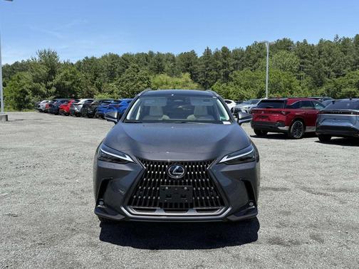2025 Lexus NX 450h+ Luxury
