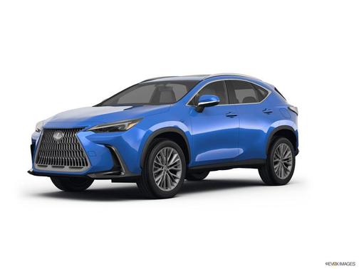 2025 Lexus NX 350 Base