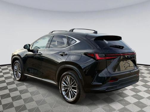 2024 Lexus NX 350h Luxury