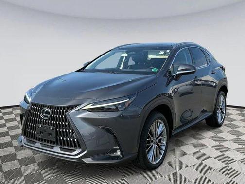 2022 Lexus NX 350 Luxury