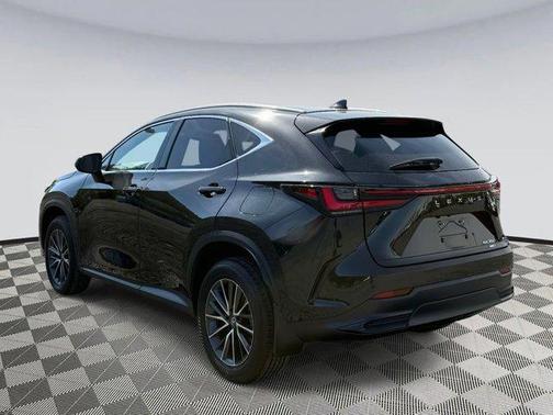 2024 Lexus NX 350 Base