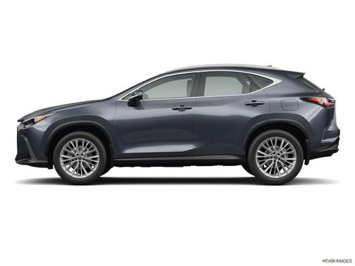 2025 Lexus NX 350 Base