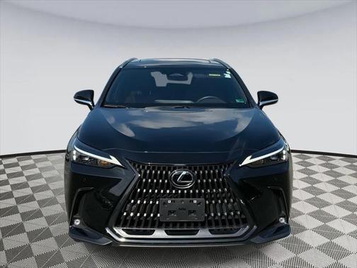 2023 Lexus NX 350 Premium