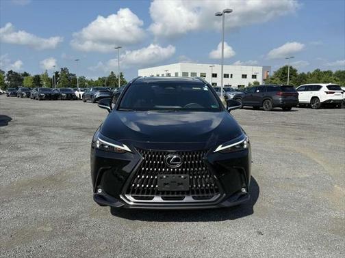 2023 Lexus NX 350 Premium