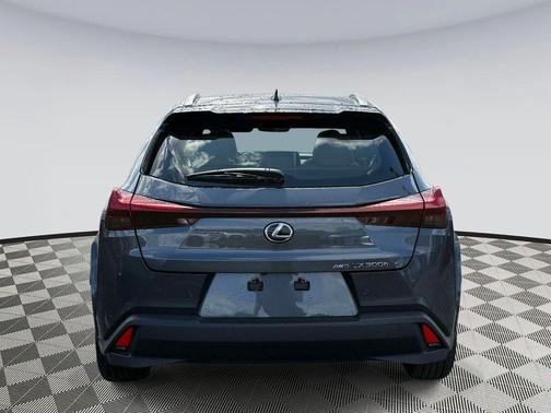 Cloudburst Gray 2026 Lexus UX 300h Premium