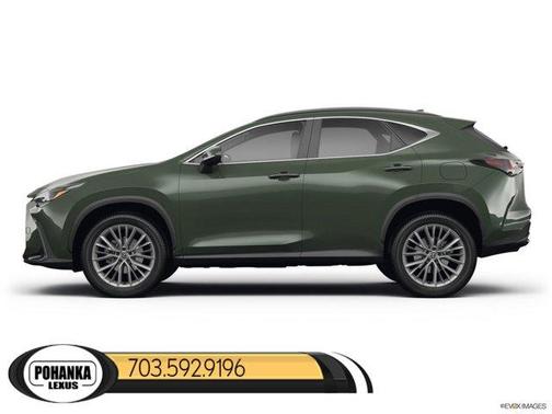 2025 Lexus NX 350 Base