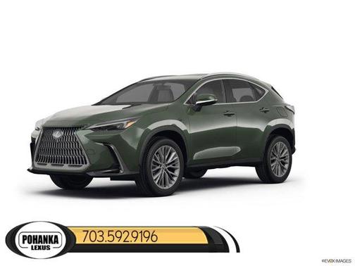 2025 Lexus NX 350 Base