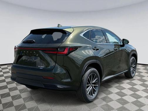 2025 Lexus NX 350 Base