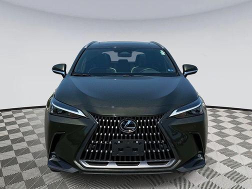 Nori Green Pearl 2024 Lexus NX 350h Premium
