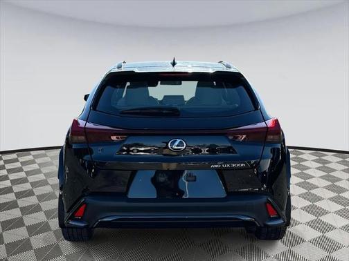 2025 Lexus UX 300h F DESIGN