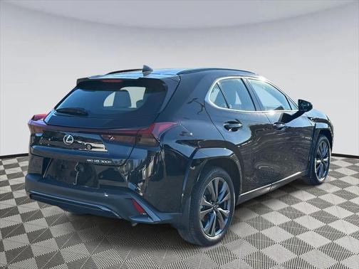 2025 Lexus UX 300h F DESIGN