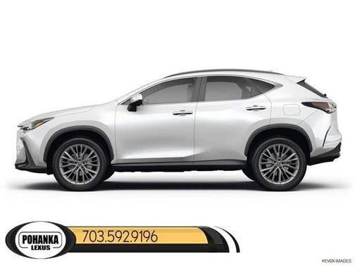 2025 Lexus NX 350 Premium