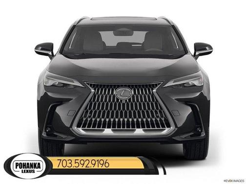 2025 Lexus NX 350 Premium