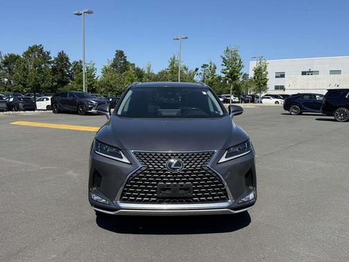 Nebula Gray Pearl 2022 Lexus RX 350 Base