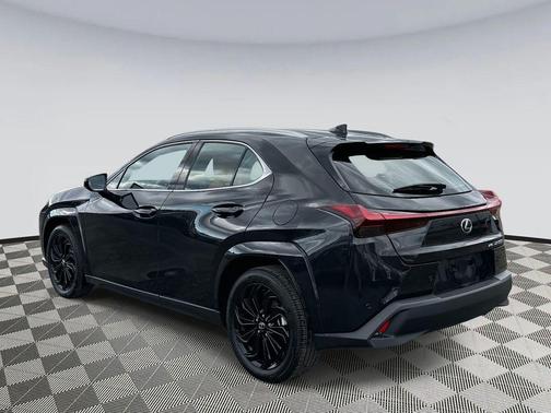 2025 Lexus UX 300h Premium