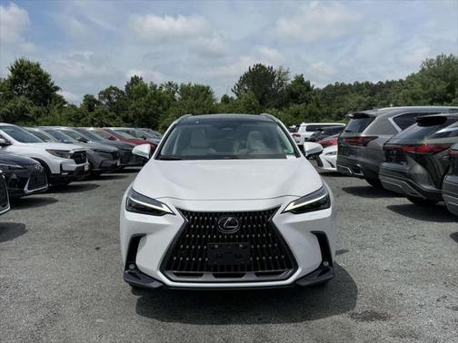 2025 Lexus NX 350 Luxury