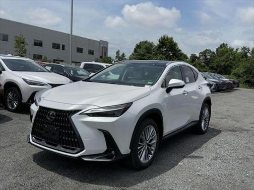 2025 Lexus NX 350 Luxury