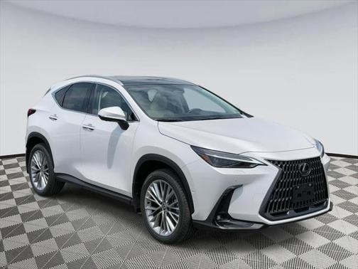 2025 Lexus NX 350 Luxury