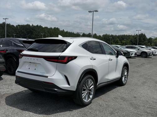 2025 Lexus NX 350 Luxury