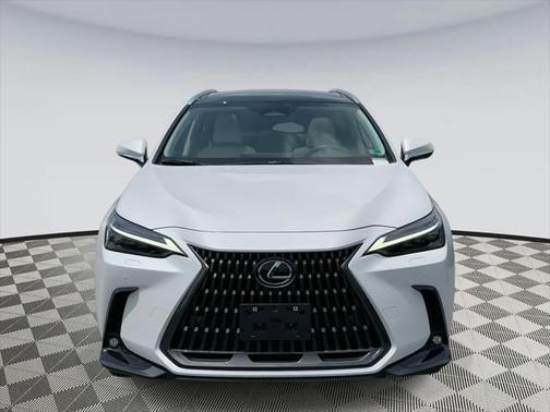 2025 Lexus NX 350 Luxury