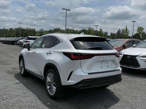 2025 Lexus NX 350 Luxury