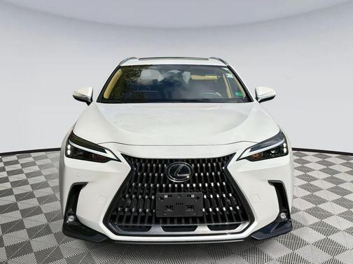 2025 Lexus NX 350 Base