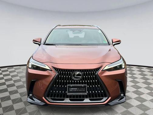 2025 Lexus NX 350 Premium
