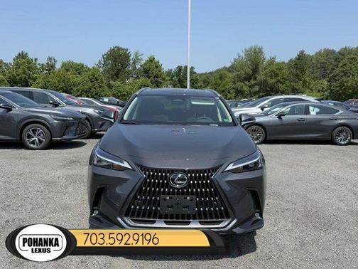 2025 Lexus NX 350 Base